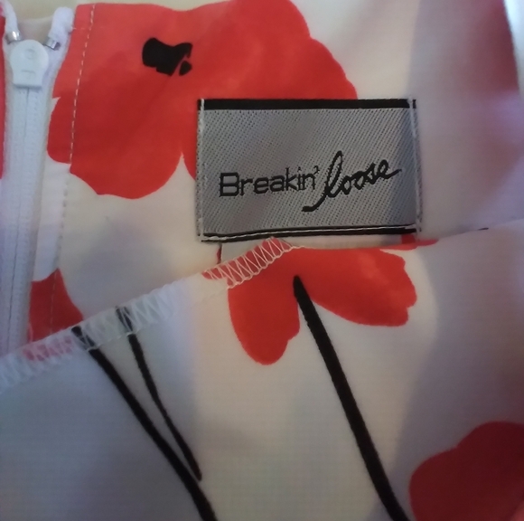 Bustin Loose Floral Sleeveless Dress - Red and White Flarred Size 16 - Picture 8 of 8